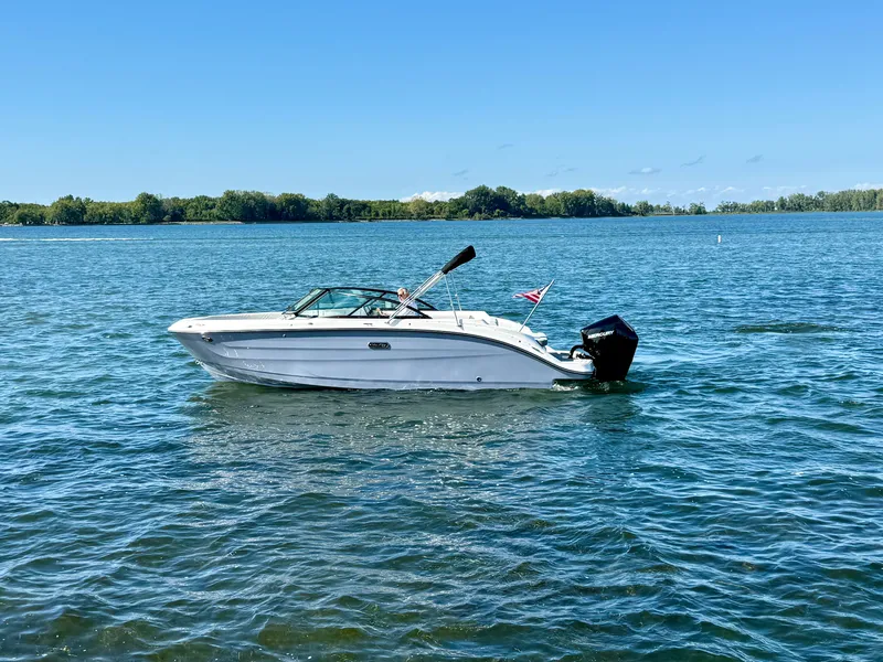 The Image of A 2026 Sea Ray SDX 230 Outboard on calm water, surrounded by green shores. - 0