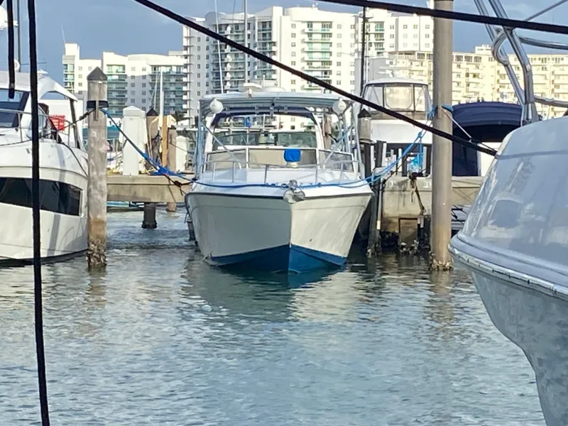 The Image of 1998 Contender 35 Express boat on trailer with Suzuki outboard motor. - 0