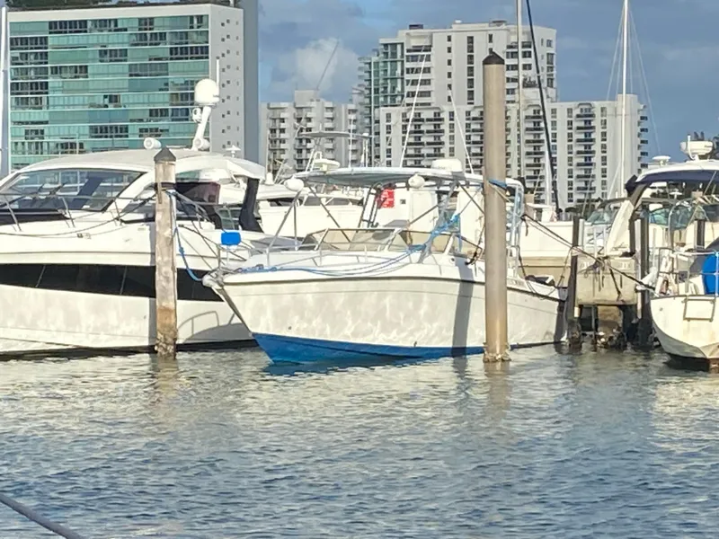 Slide: The Image of 1998 Contender 35 Express boat docked in marina with city skyline background. - 1