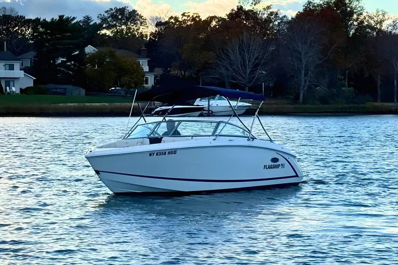 The Image of 2019 Cobalt R3 boat on calm water near a wooded shoreline. - 0