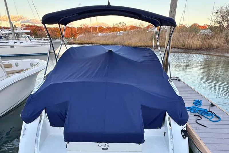 Slide: The Image of 2019 Cobalt R3 boat with blue cover docked by the water. - 39