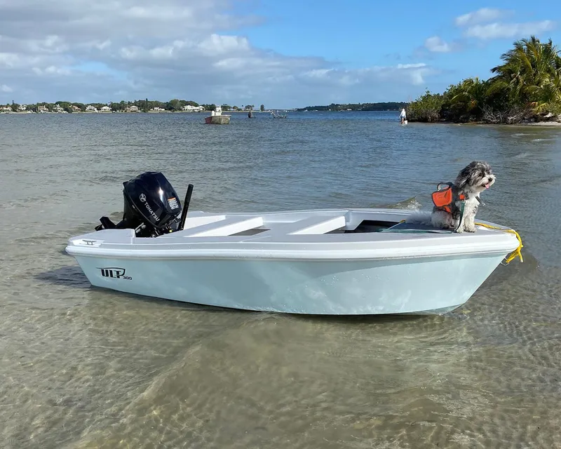 Slide: The Image of 2024 Ultra Lite Tenders ULT 300 boat with dog in life jacket on calm water. - 6