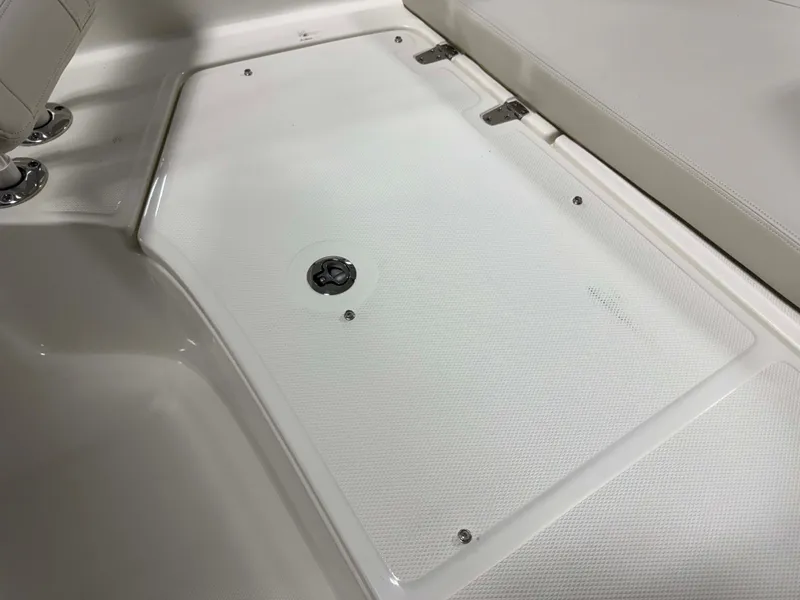 Slide: The Image of Boston Whaler 210 Montauk 2026 - 44