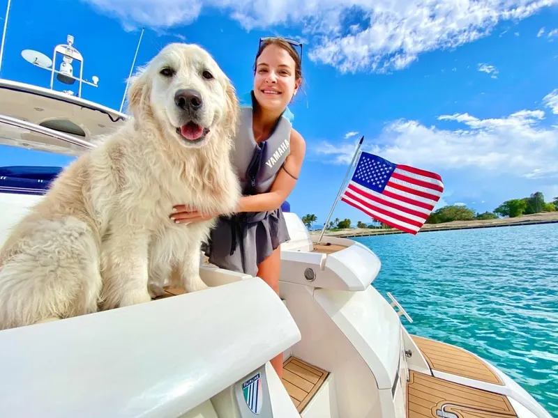 Slide: The Image of Woman and dog on 2007 Fairline Targa 52 yacht with American flag, sunny day. - 24