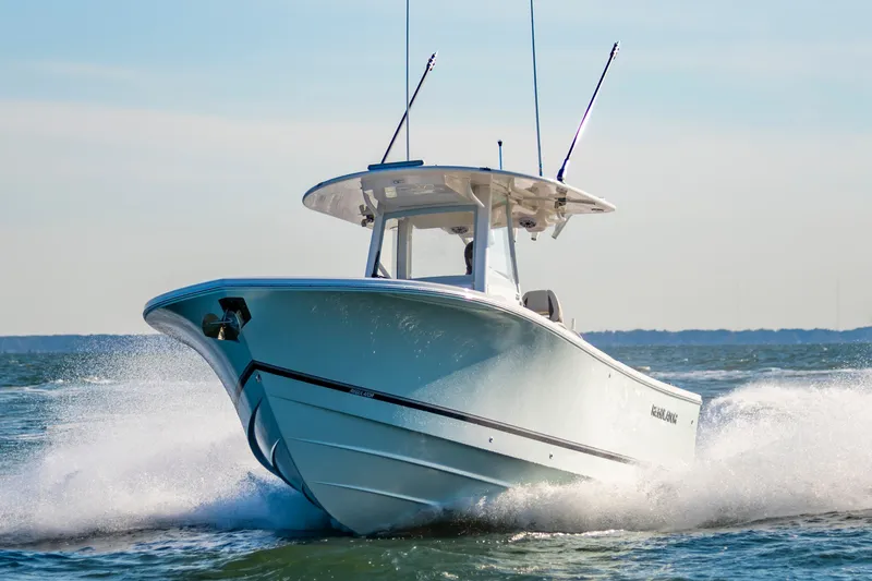 Slide: The Image of Regulator Marine 28 2026 - 3