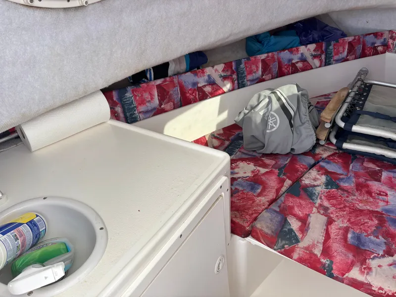 Slide: The Image of Cobia 230 Walkaround 1997 - 12