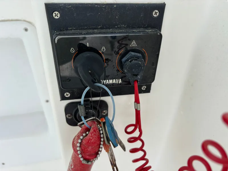 Slide: The Image of Cobia 230 Walkaround 1997 - 34