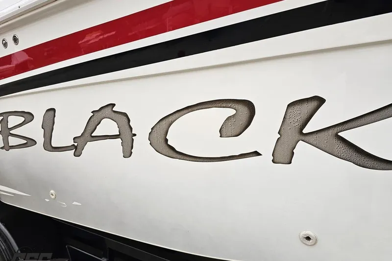 Slide: The Image of 2004 Black Thunder 460 boat with bold lettering and sleek design. - 10