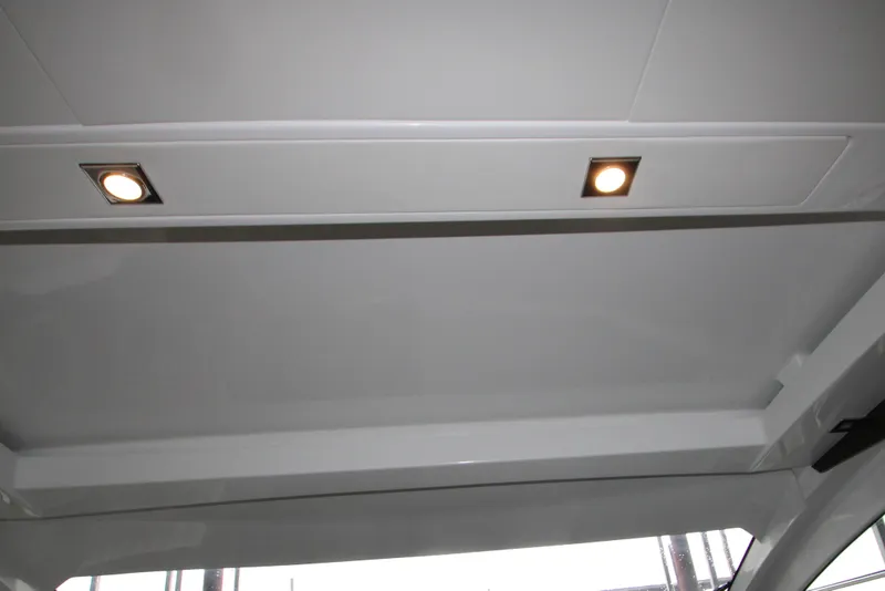 Slide: The Image of Ceiling lights on 2019 Cruisers Yachts 42 Cantius, showcasing modern interior design. - 71
