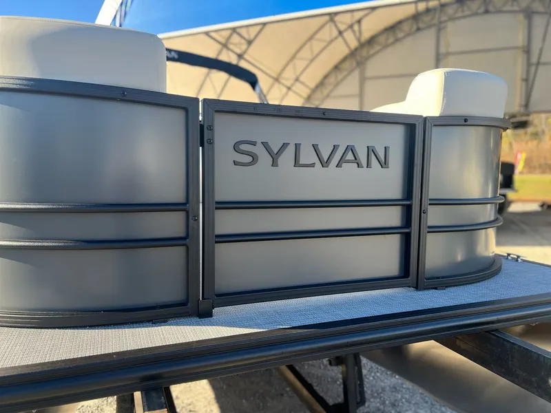 Slide: The Image of Sylvan Mirage 8522 Party Fish 2026 - 10