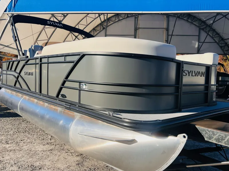 Slide: The Image of Sylvan Mirage 8522 Party Fish 2026 - 11