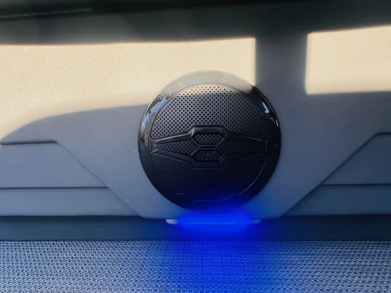 Slide: The Image of Sylvan Mirage 8522 Party Fish 2026 - 15