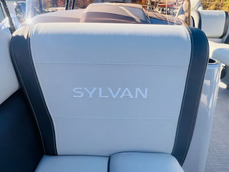 Slide: The Image of Sylvan Mirage 8522 Party Fish 2026 - 20