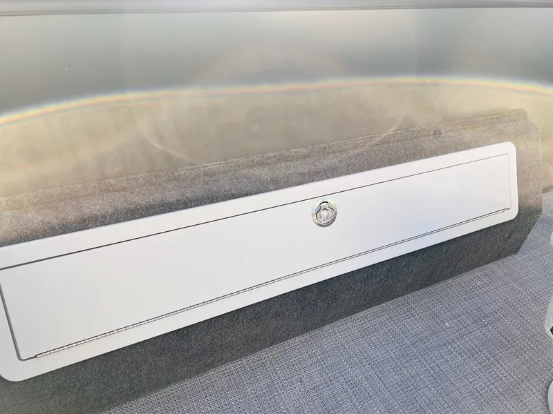 Slide: The Image of Sylvan Mirage 8522 Party Fish 2026 - 36