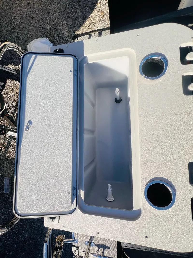 Slide: The Image of Sylvan Mirage 8522 Party Fish 2026 - 6