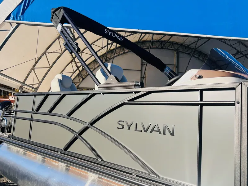 Slide: The Image of Sylvan Mirage 8522 Party Fish 2026 - 9