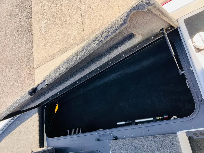 Slide: The Image of Skeeter ZX190 2010 - 50