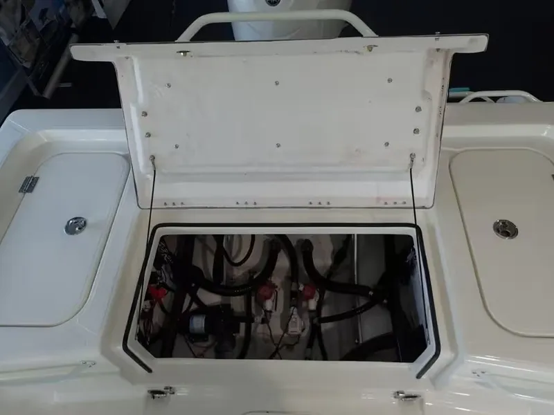 Slide: The Image of Skeeter SX221 2026 - 10