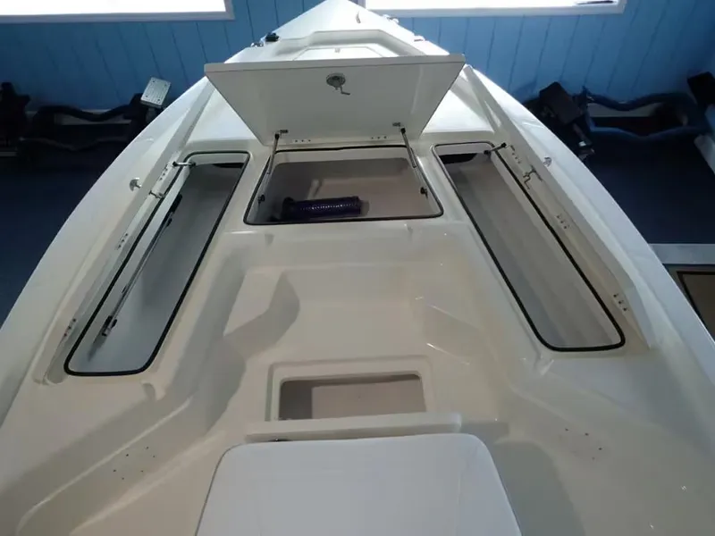 Slide: The Image of Skeeter SX221 2026 - 13