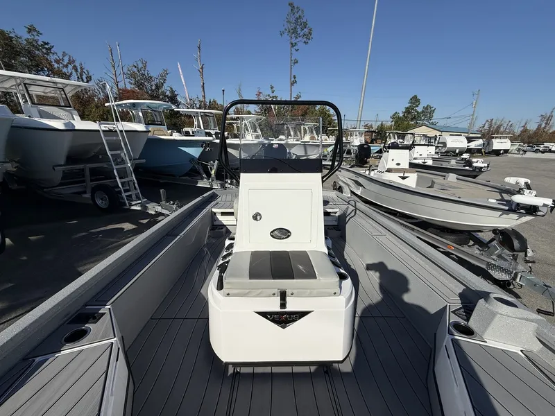 Slide: The Image of Vexus ACX 2210 2026 - 10