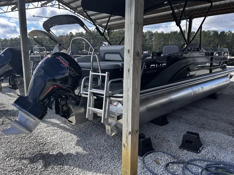 Slide: The Image of Lowe Ss 230 2026 - 4