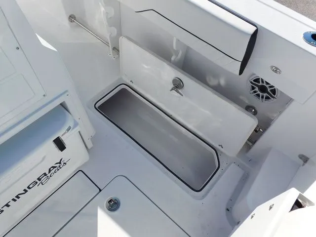 Slide: The Image of Stingray 253 CC 2026 - 29