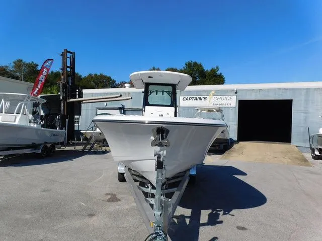 Slide: The Image of Stingray 253 CC 2026 - 3