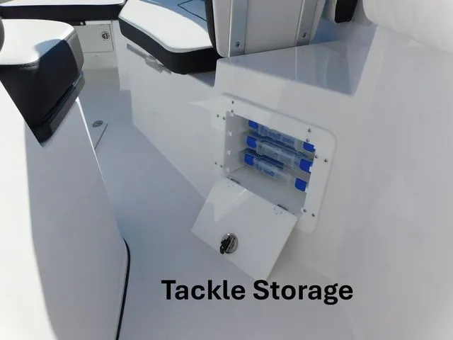 Slide: The Image of Stingray 253 CC 2026 - 35