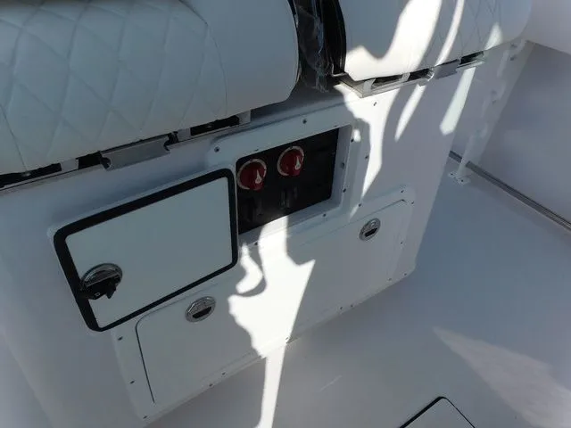 Slide: The Image of Stingray 253 CC 2026 - 41