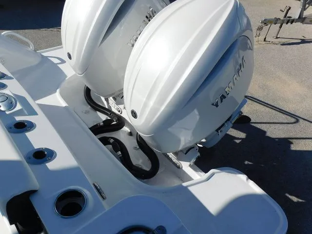 Slide: The Image of Stingray 253 CC 2026 - 43