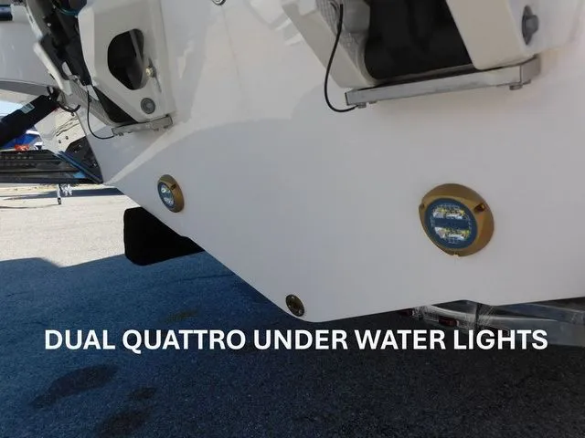 Slide: The Image of Stingray 253 CC 2026 - 5