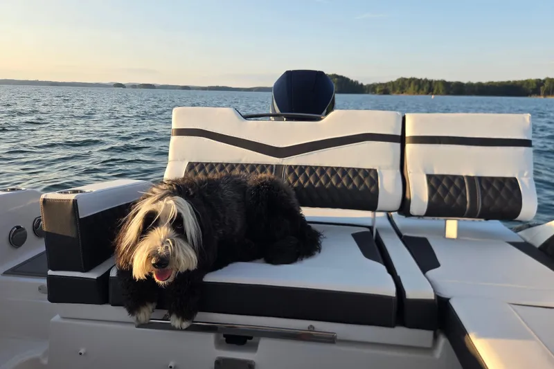 Slide: The Image of Dog relaxing on a 2026 Monterey Elite 30 OB boat at sunset. - 8