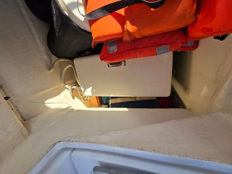 Slide: The Image of Hunter 44 2006 - 46