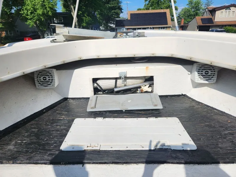 Slide: The Image of Dusky Panty 1976 - 6