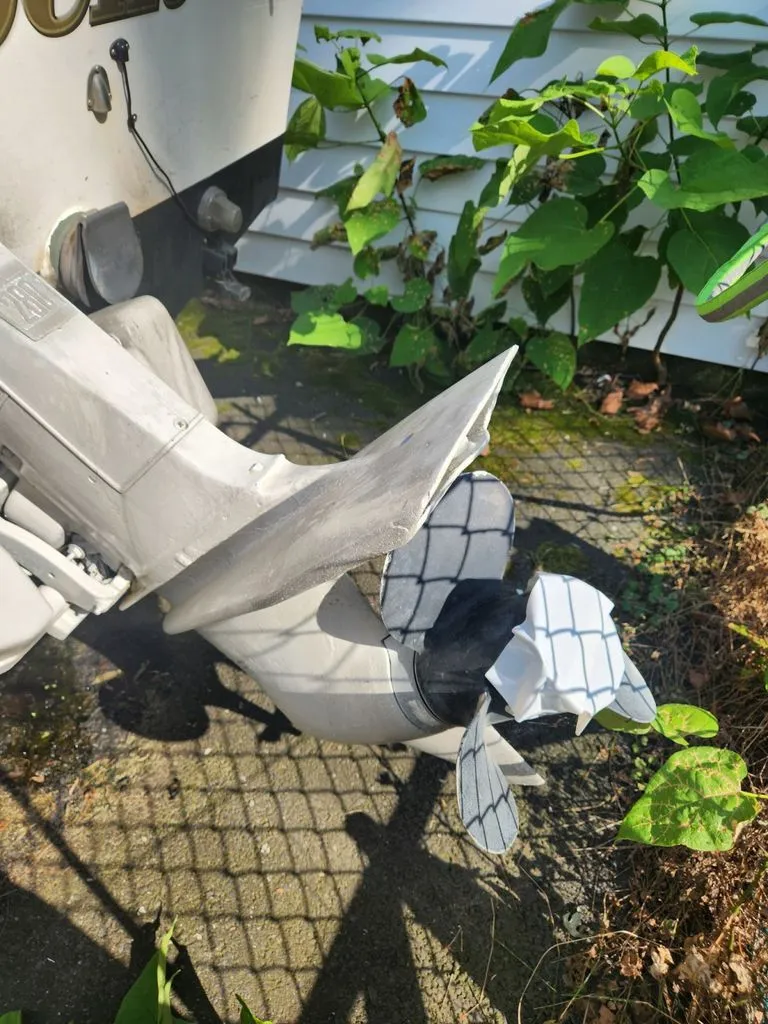 Slide: The Image of Dusky Panty 1976 - 7