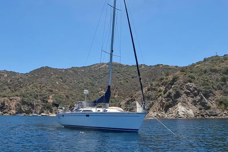Slide: The Image of Catalina 320 sailboat from 2000 anchored near rocky coastline under clear blue sky. - 23
