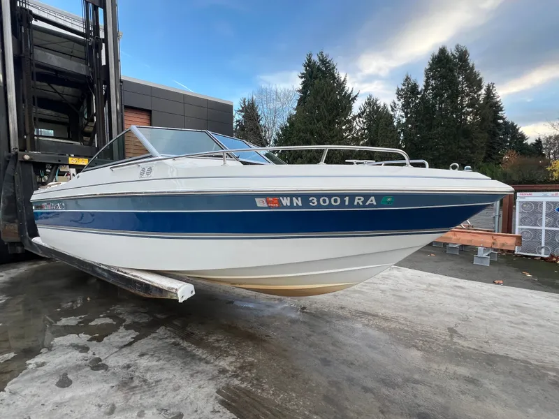 Slide: The Image of Cobalt 21br 1990 - 4