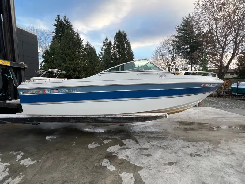 Slide: The Image of Cobalt 21br 1990 - 5