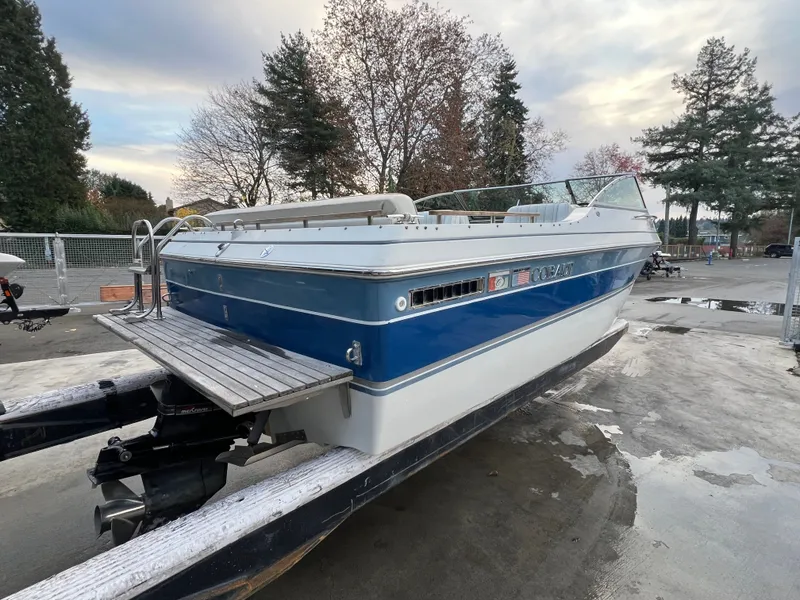 Slide: The Image of Cobalt 21br 1990 - 6