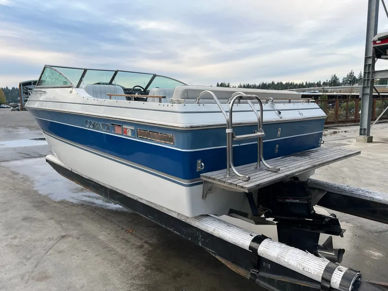 Slide: The Image of Cobalt 21br 1990 - 8