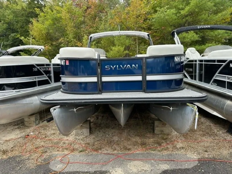 The Image of Sylvan X1 2023 - 1