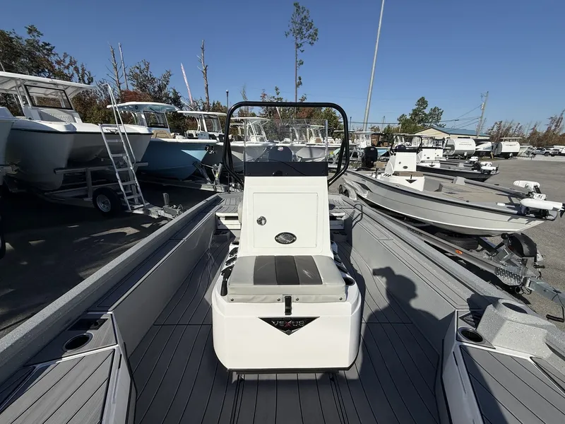 Slide: The Image of Vexus ACX 2210 2026 - 10