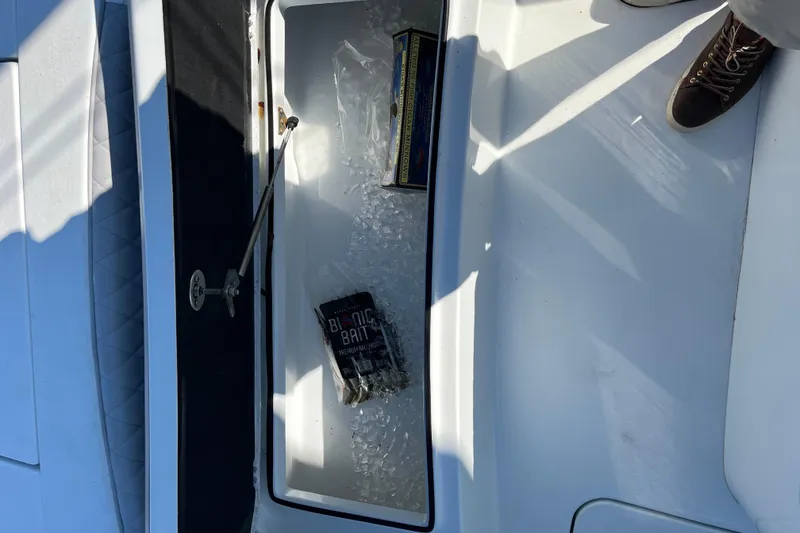 Slide: The Image of Ice-filled storage compartment on 2022 Costa Custom Boats 264, containing bait packages. - 13