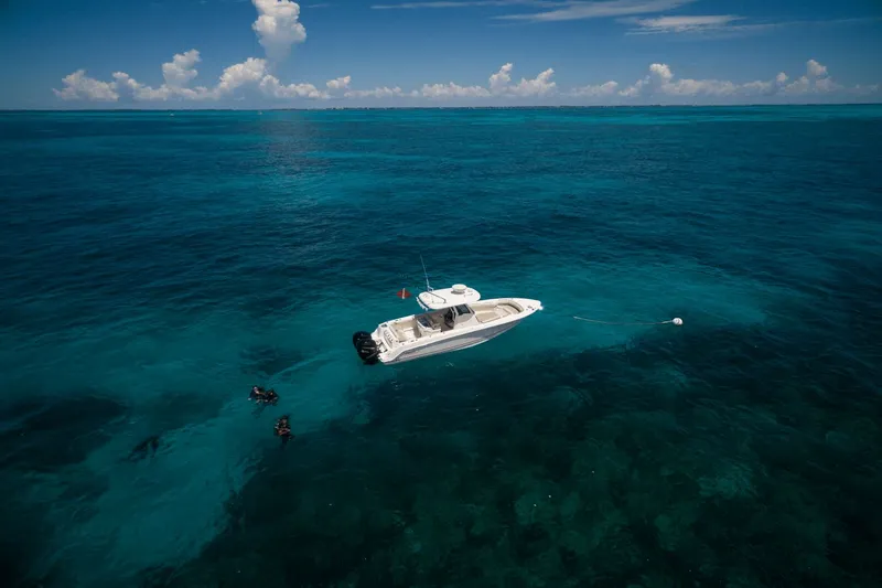 Slide: The Image of Boston Whaler 280 Outrage 2026 - 13