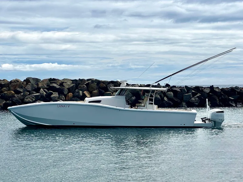 The Image of Insetta i45 2015 - 0