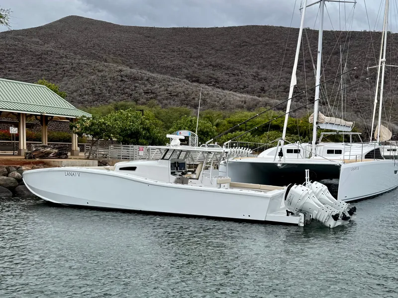 Slide: The Image of Insetta i45 2015 - 10