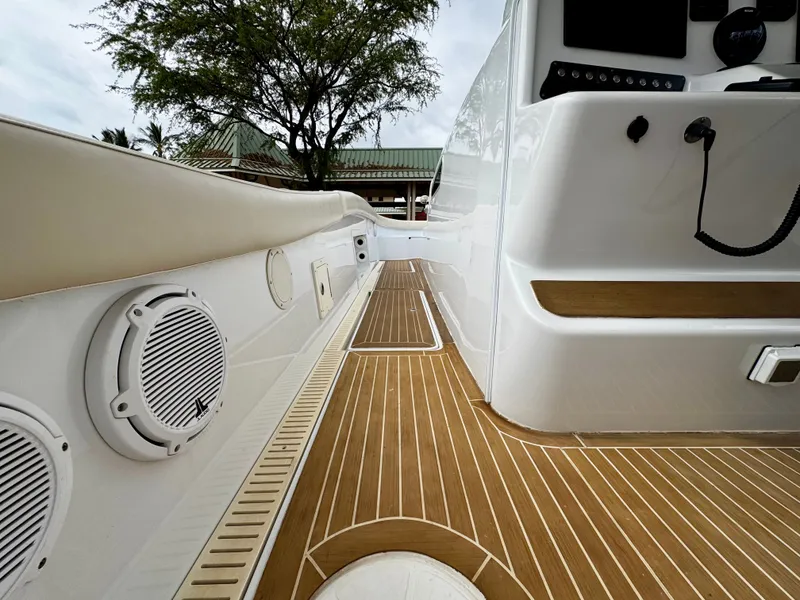 Slide: The Image of Insetta i45 2015 - 14