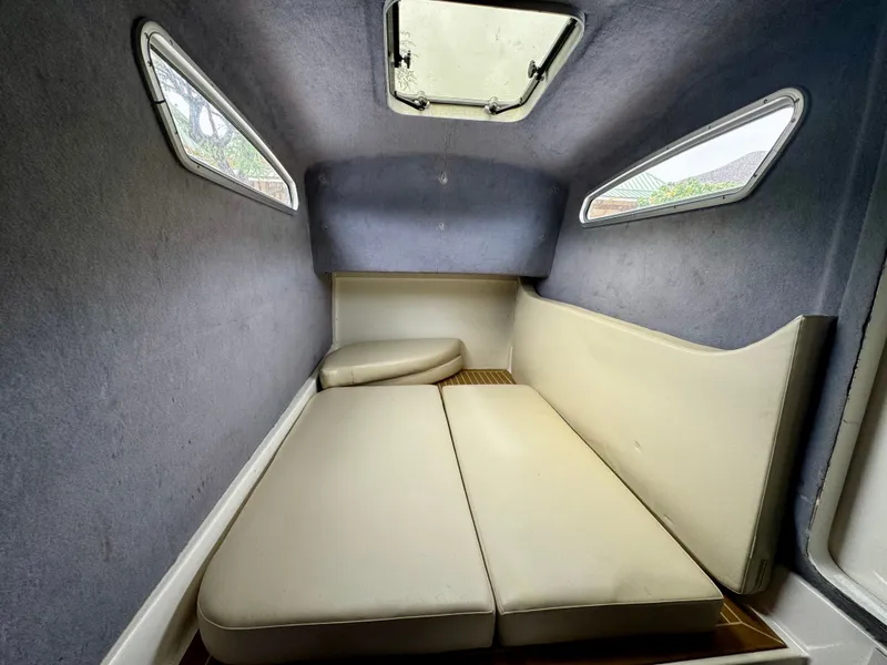 Slide: The Image of Insetta i45 2015 - 16