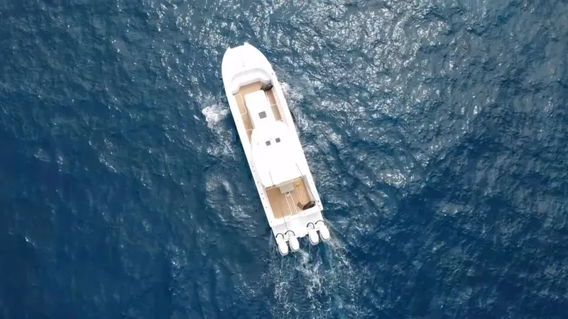 Slide: The Image of Insetta i45 2015 - 2