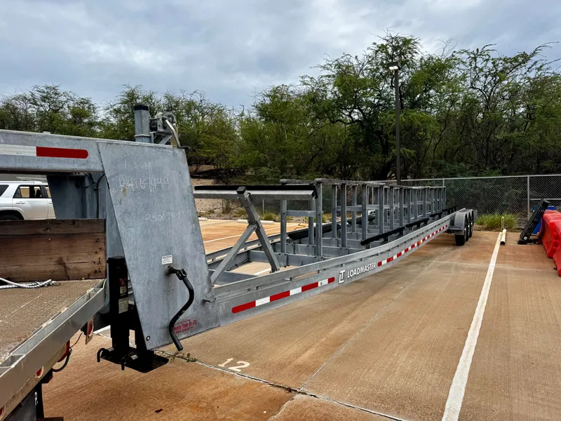 Slide: The Image of Insetta i45 2015 - 22